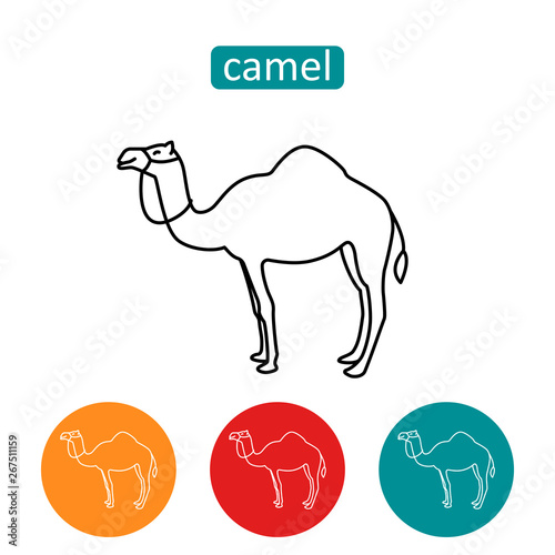 Arabian camel outline icons set.