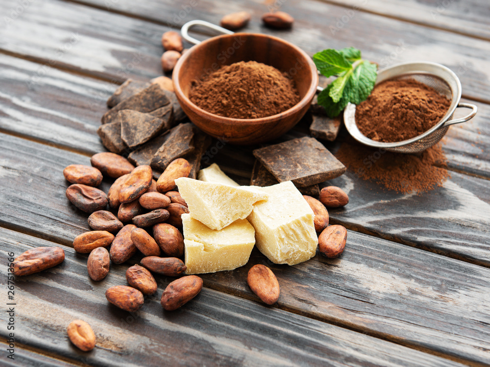 Cocoa powder and beans Cocoa powder and beans