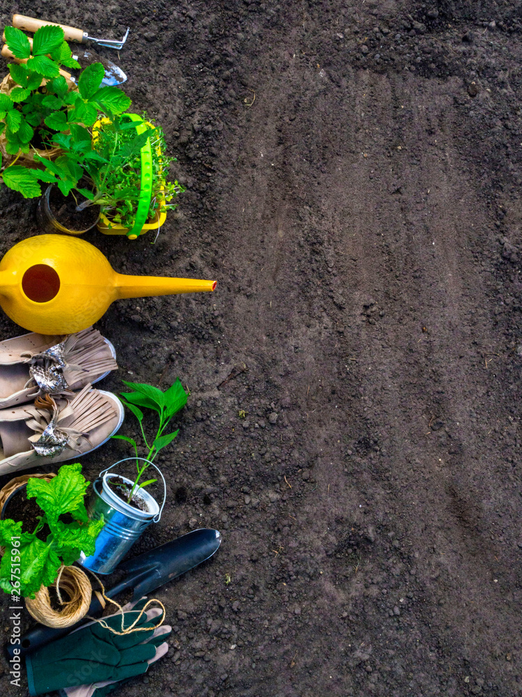 spring concept, gardening tools for gardening, boots and seedlings, watering can, seasonal garden work.