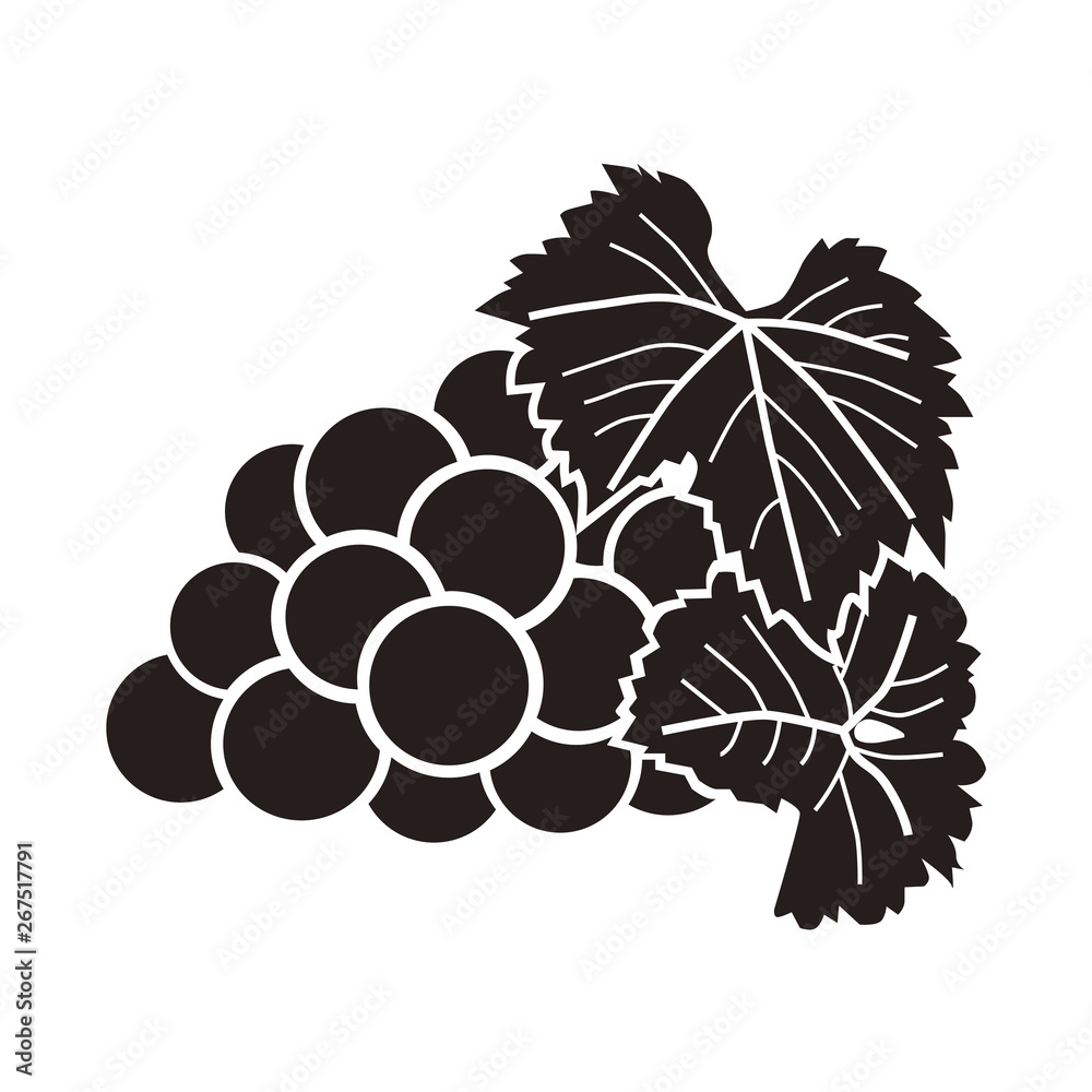 64 Best ぶどう イラスト 白黒 Images Stock Photos Vectors Adobe Stock