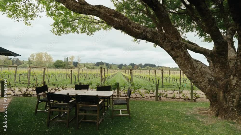Dolly shot of large green winery Dolly shot of large green winery