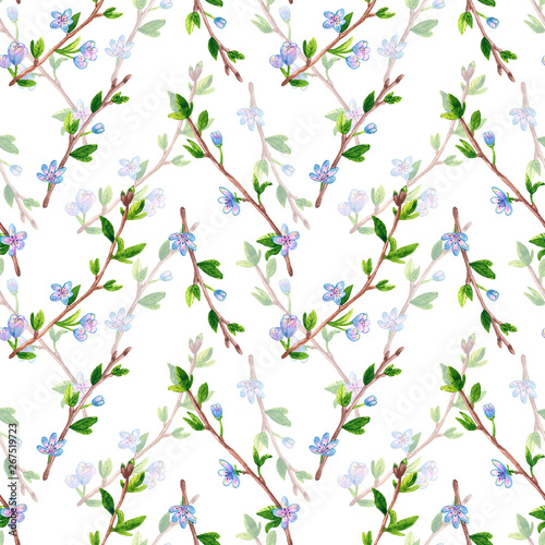 Floral seamless pattern with spring branches with flowers. Apple or cherry tree. Hand drawn watercolor illustration.