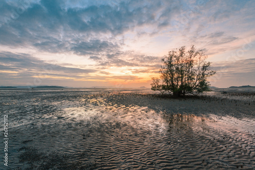Dawn over the mudflats