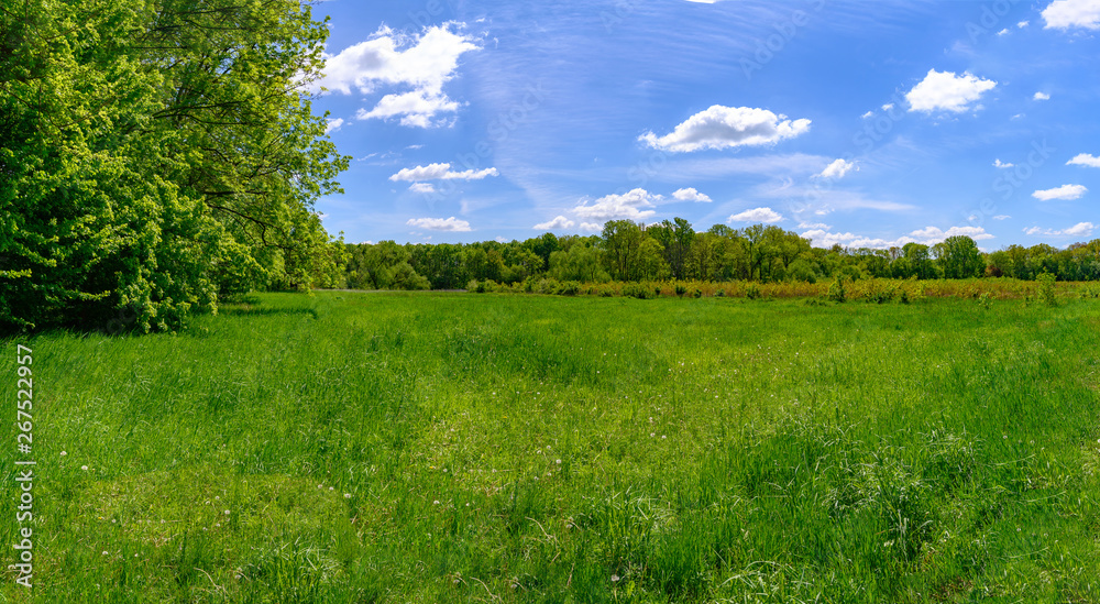 Landschaft in Sachsen, Frühling, Natur