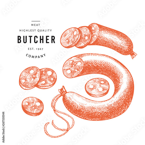 Vintage vector meat illustration. Hand drawn sausages, sausages slices, spices and herbs. Food ingredients. Retro sketch. Can be use for label, restaurant menu.