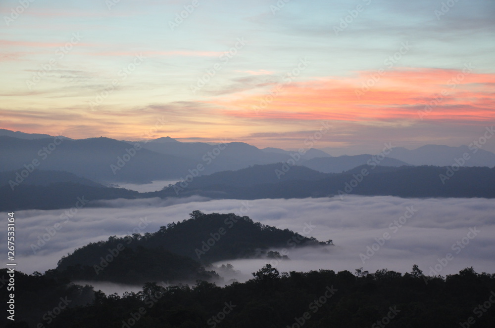 Beautiful sunrise viewpoint of the mist in hua mod mountain in TAK Province, Thailand. 
