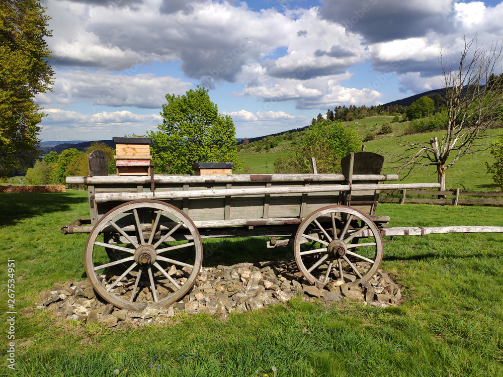 Historical horse cart on a lawn in Spring mountains in Germany
