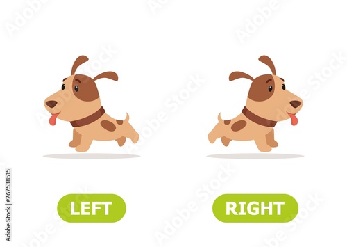 Illustration of opposites  left and right. The dog runs left and right..Card for teaching aid, for a foreign language learning. Vector illustration on white background..