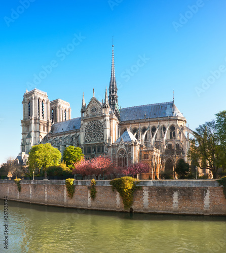 Undamaged Eastern facade of Notre Dame de Paris in Springtime before the fire, panoramic image