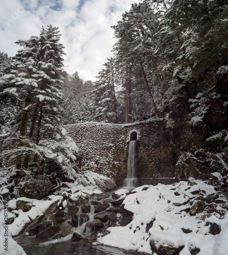 Paysage hivernal