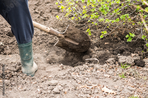 digging soil with shovel in the garden