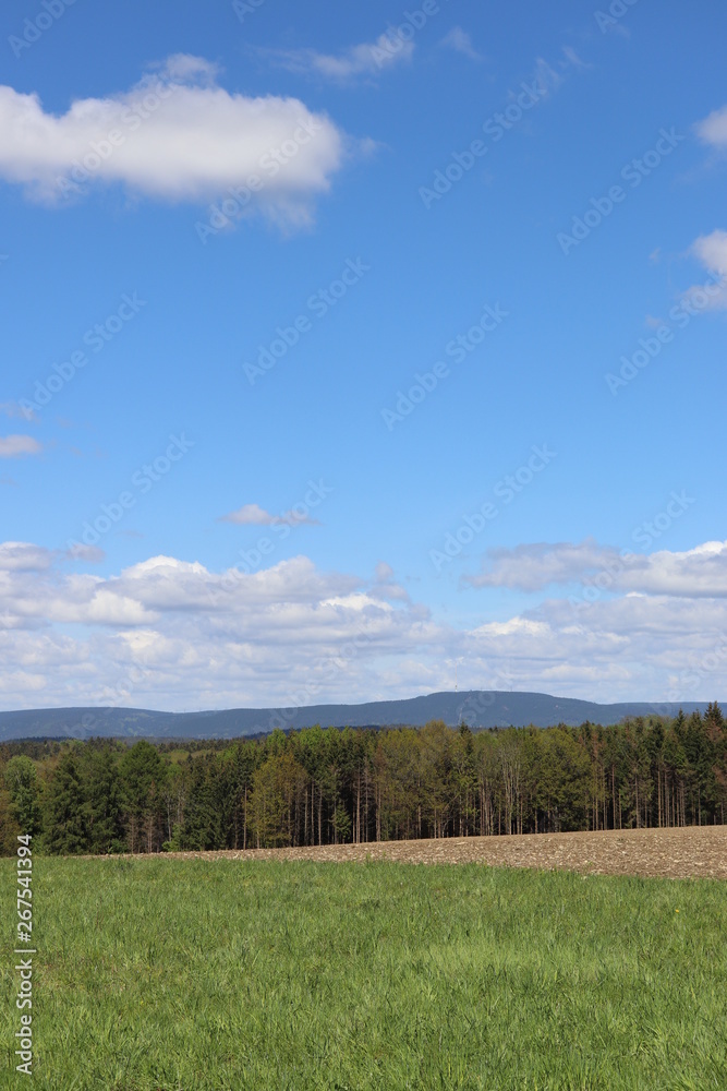 Landschaft Ausblick mit Wald Bayern Himmel weiß blau