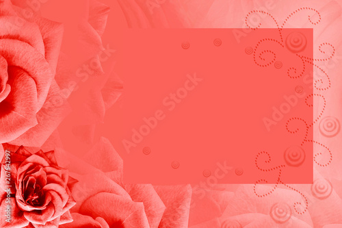 Floral red background. Red rose flower. Background for the postcard. Place for text. Nature.