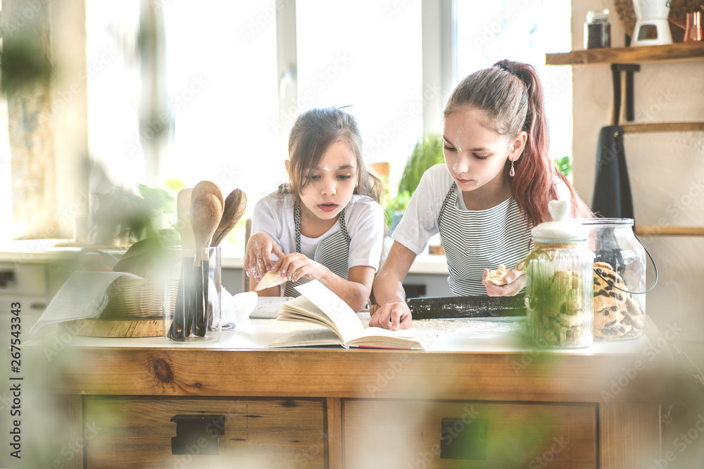 Two sisters are cooking together on the recipe cookbook. Two sisters are cooking together on the recipe cookbook.