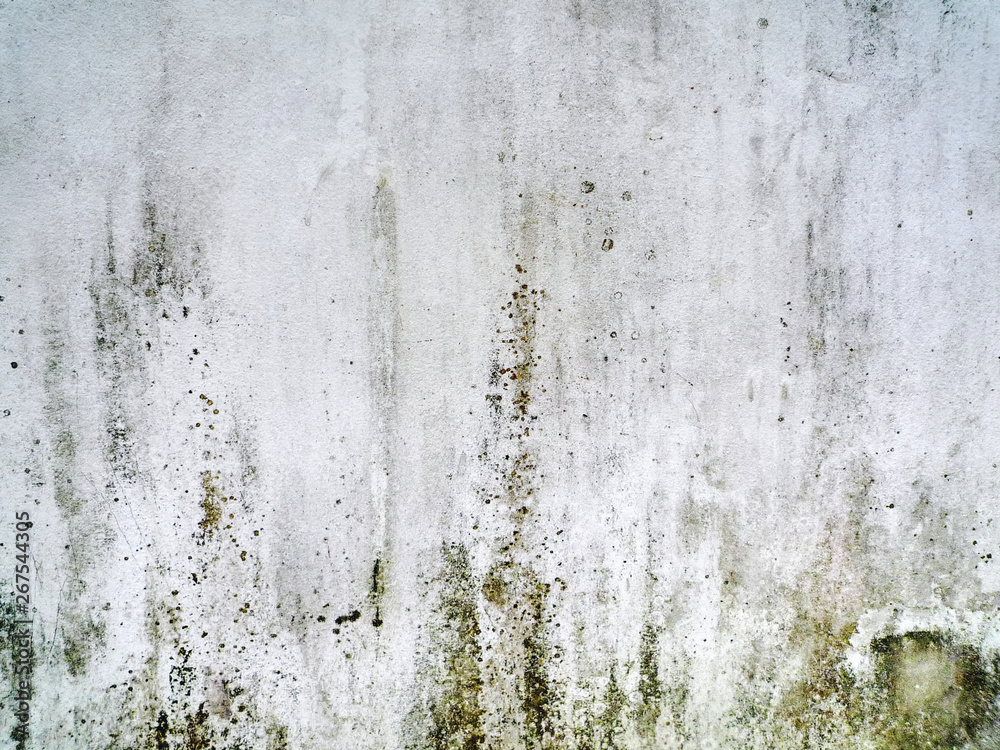 Fototapeta premium Full Frame Background of Grungy Dirty Wall Texture