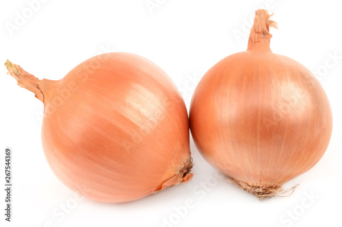 Wallpaper Mural Onions on a white background Torontodigital.ca