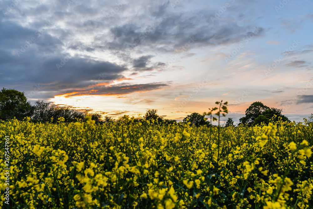 Sunset in Northamptonshire - Uk