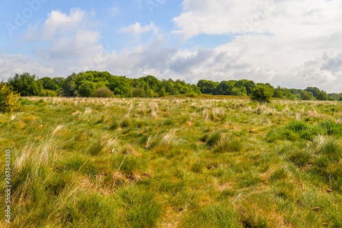 Wanstead Flats - London, UK