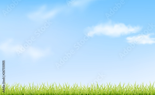 Sky  clouds and grass. Green landscape
