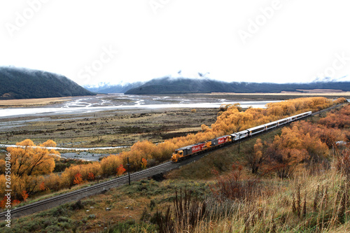 train going on the way on authum in newzealand with mountain background