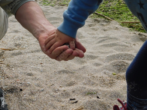  parent and child on the beach. hands macro