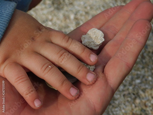  parent and child on the beach. hands macro