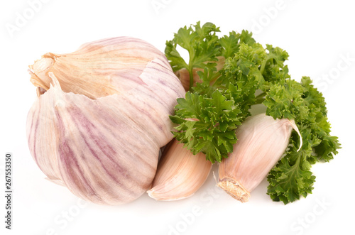 garlic on a white background