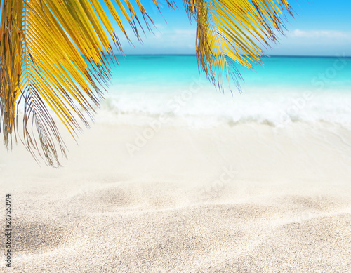 Fototapeta Naklejka Na Ścianę i Meble -  Coconut palm leaves hanging over the tropical white sandy beach and turquoise sea.