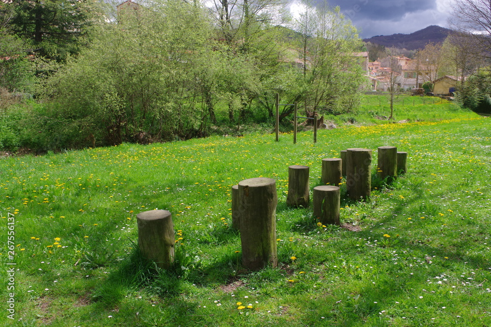 Parcours sportif nature pour la gymnastique avec agrès et échelle dans la pelouse dans la campagne