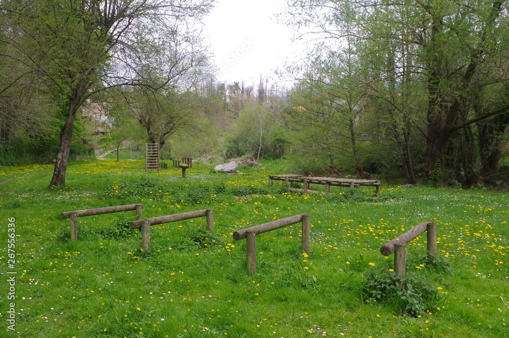 Parcours sportif nature pour la gymnastique avec agrès et échelle dans la pelouse dans la campagne