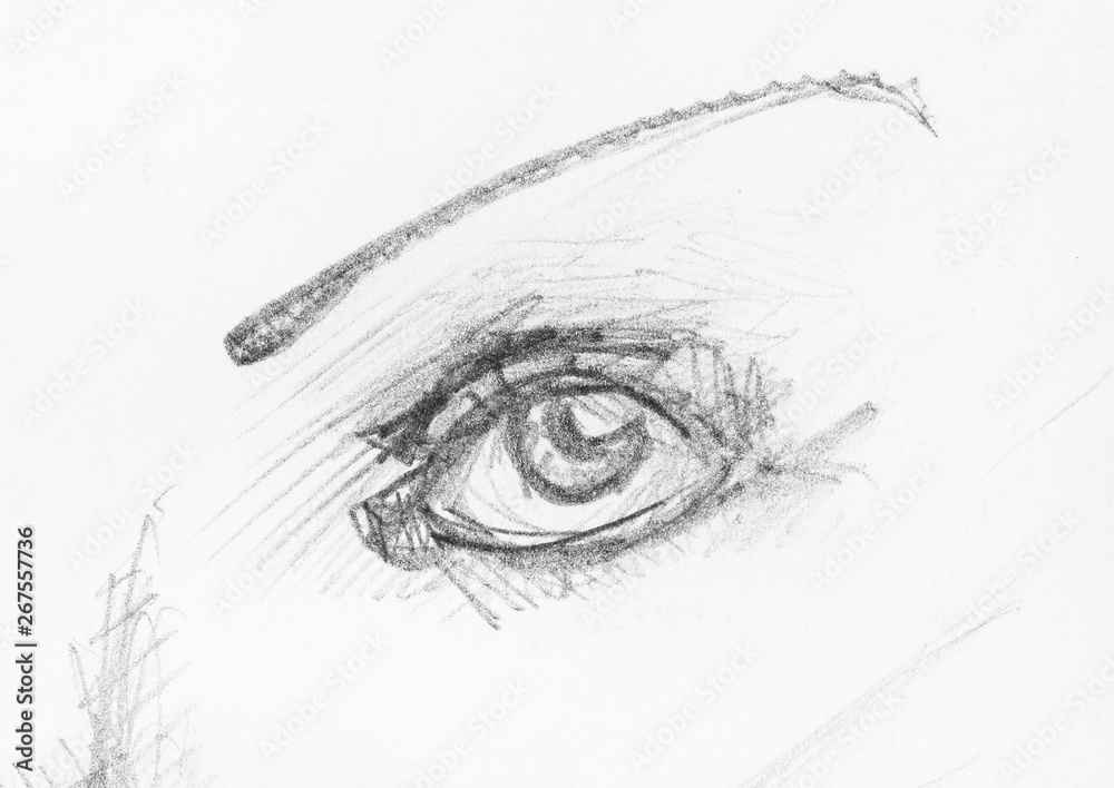 Fototapeta premium sketch of human eye and narrow eyebrow by pencil