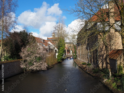Bruges' canal
