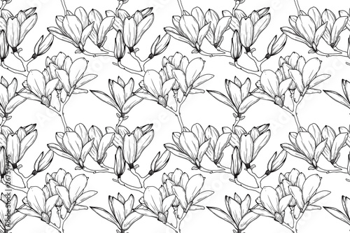 Seamless pattern with lily flowers. Realistic sketch lily. Vector