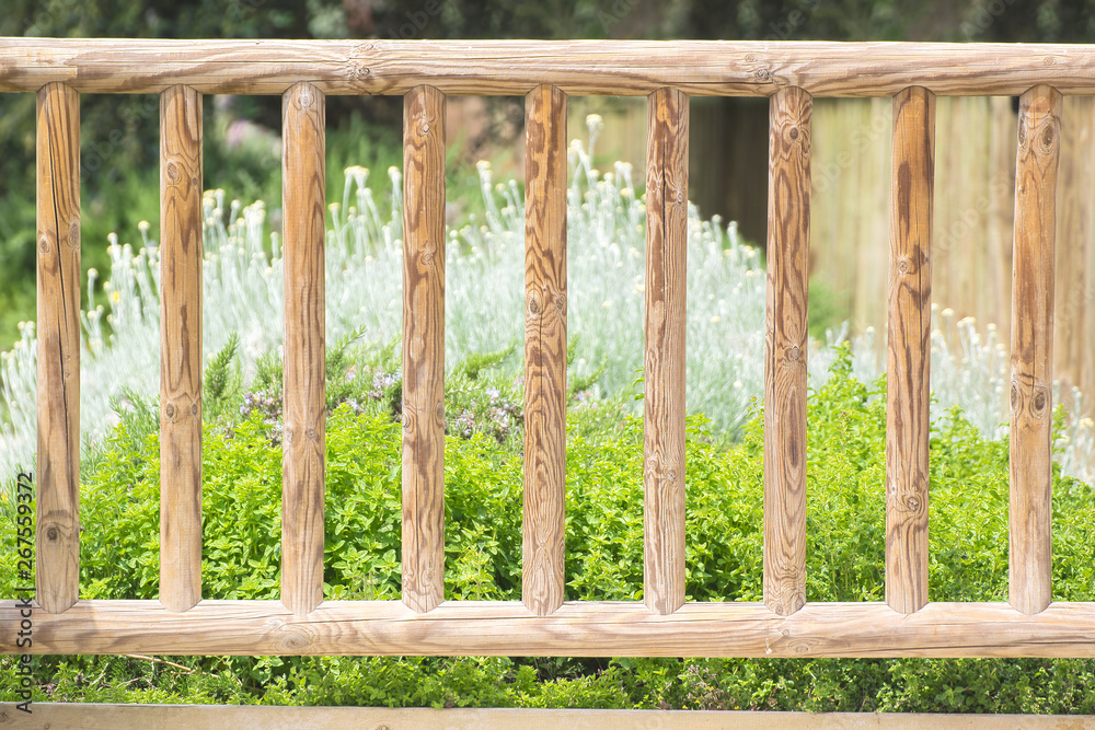 Wooden fence and some flowers in a home garden. Floral background and empty copy space for Editor's text.