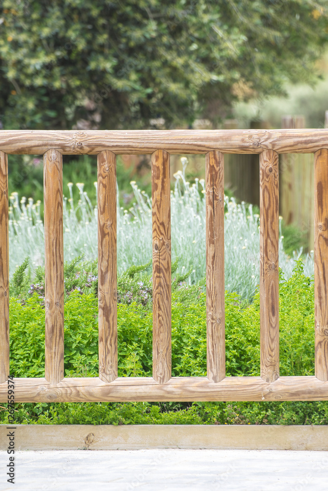 Obraz premium Wooden fence and some flowers in a home garden. Floral background and empty copy space for Editor's text.