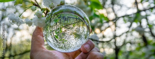 A hand holding a crystal ball for optical illusion. Known as an orbuculum, is a crystal or glass ball and common fortune telling object. Performance of clairvoyance and scrying