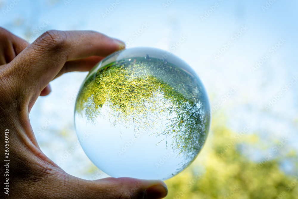 A hand holding a crystal ball for optical illusion. Known as an orbuculum, is a crystal or glass ball and common fortune telling object. Performance of clairvoyance and scrying A hand holding a crystal ball for optical illusion. Known as an orbuculum, is a crystal or glass ball and common fortune telling object. Performance of clairvoyance and scrying