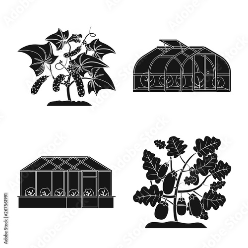 Fototapeta Vector illustration of greenhouse and plant symbol
