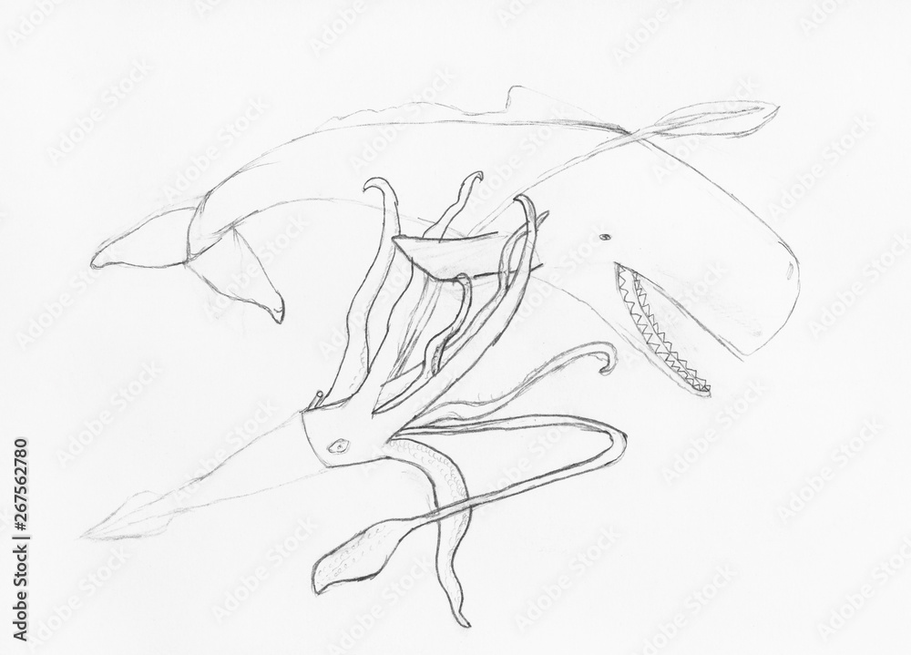 Obraz premium battle of octopus and cachalot drawn by pencil