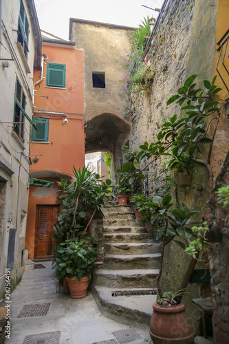 Fototapeta Naklejka Na Ścianę i Meble -  Ancien house with steps and arch in the village of Vernazza. Cinque Terre, Liguria, italy