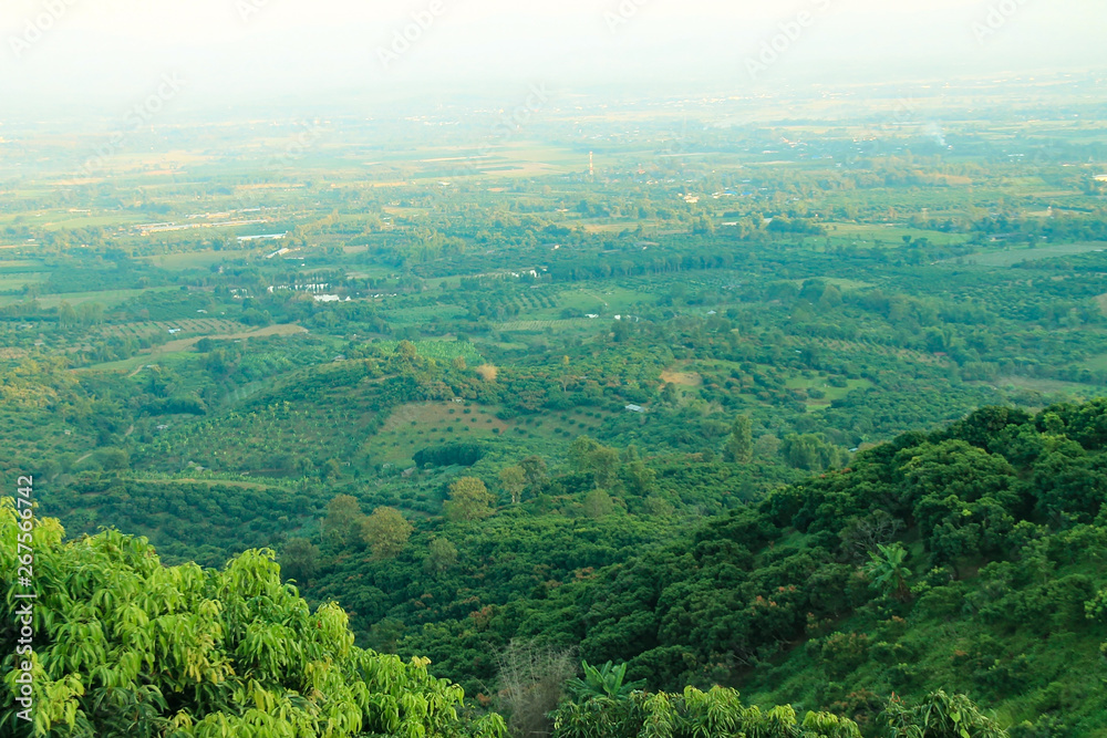 landscape of hill