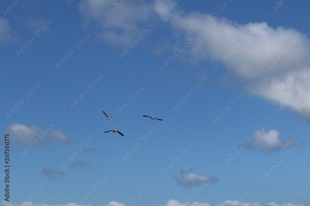 himmel3 himmel3