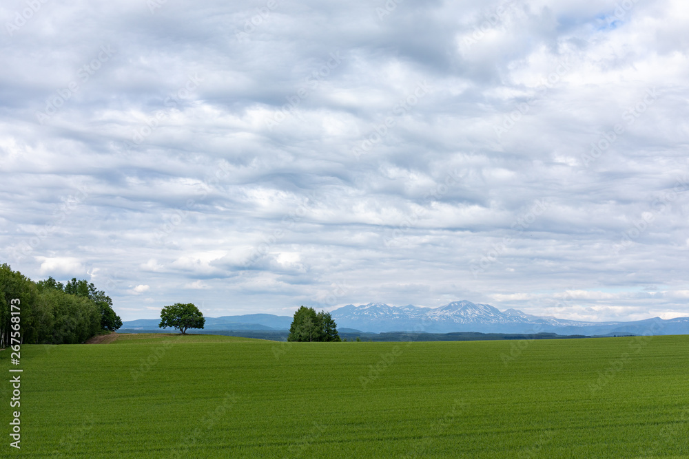 美瑛の美しい風景