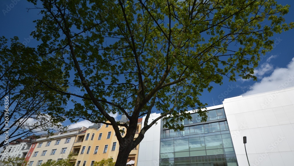 Spring Impressions from Berlin Steglitz from April 19, 2017, Germany Spring Impressions from Berlin Steglitz from April 19, 2017, Germany