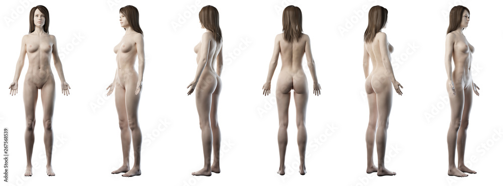 3d rendered medically accurate illustration of a healthy woman 3d rendered medically accurate illustration of a healthy woman