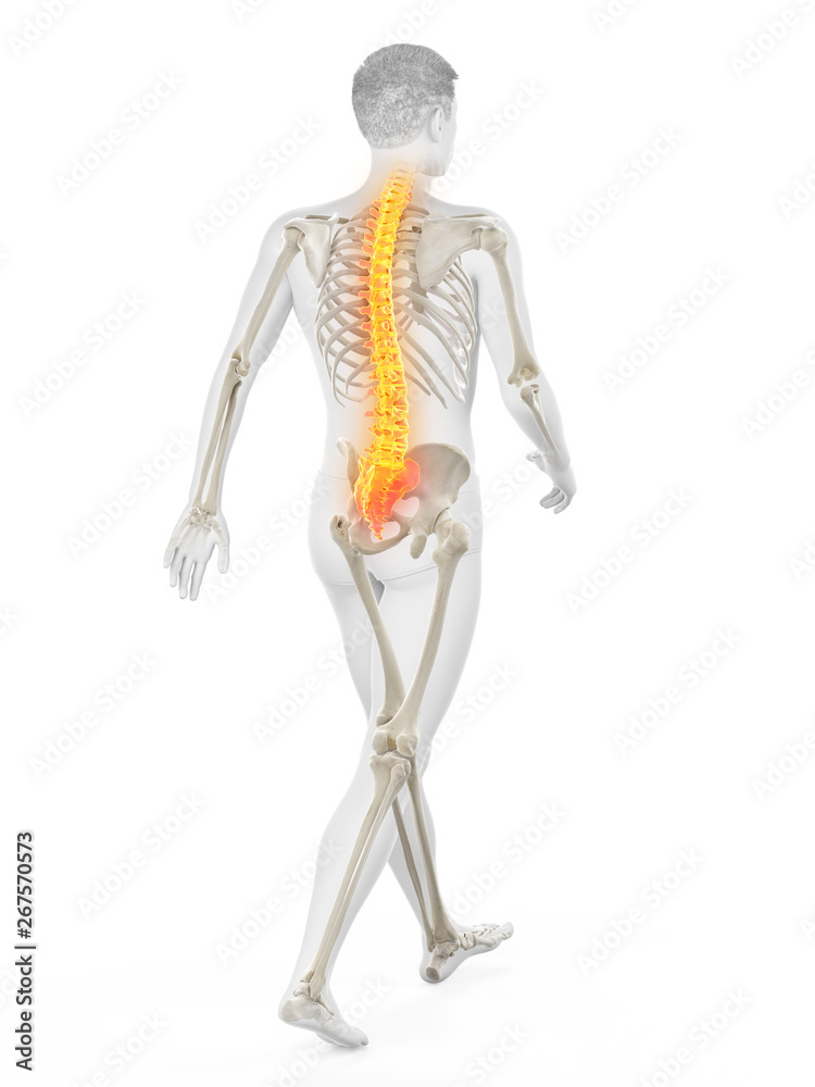 3d rendered medically accurate illustration of a walkers painful back