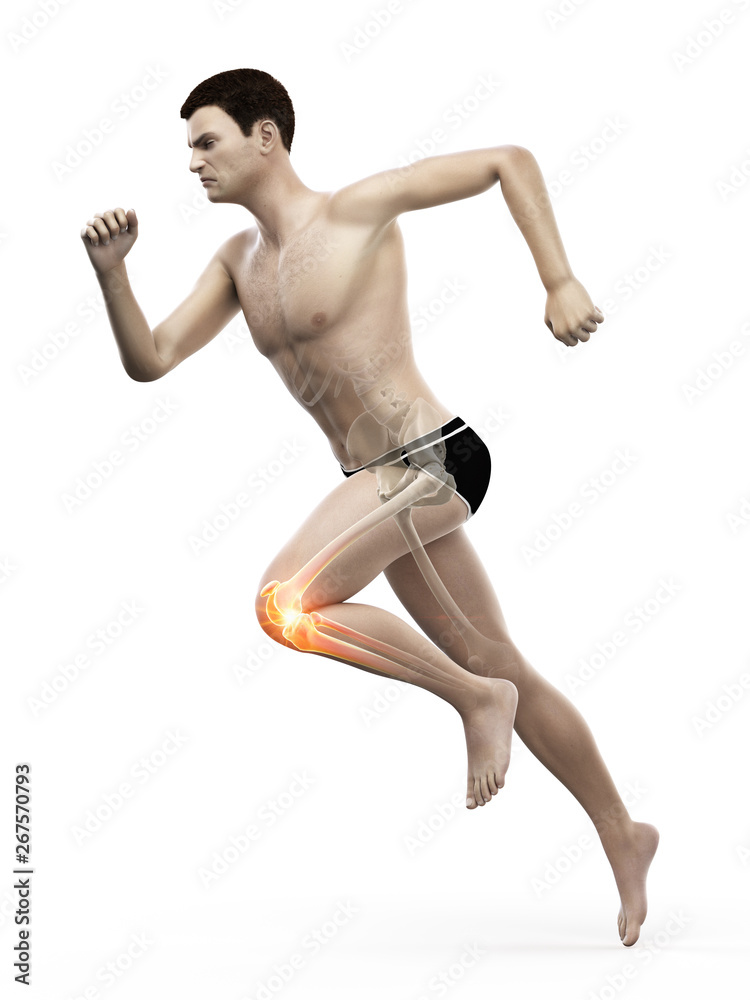 3d rendered medically accurate illustration of 3d rendered medically accurate illustration of