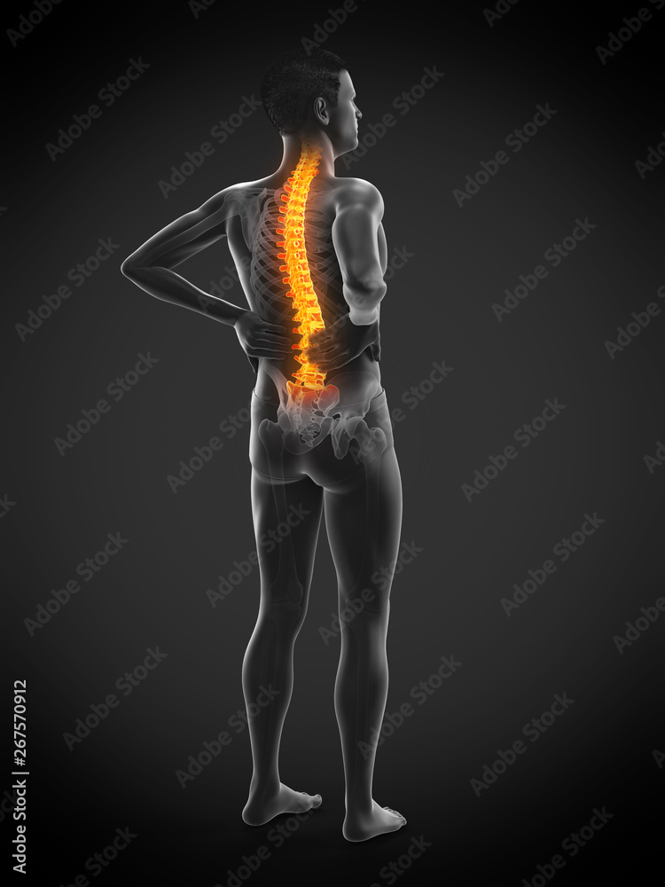3d rendered medically accurate illustration of a mans painful back 3d rendered medically accurate illustration of a mans painful back