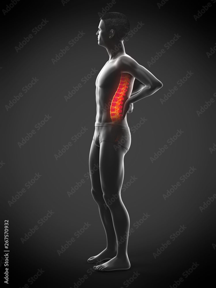 3d rendered medically accurate illustration of a mans painful back 3d rendered medically accurate illustration of a mans painful back
