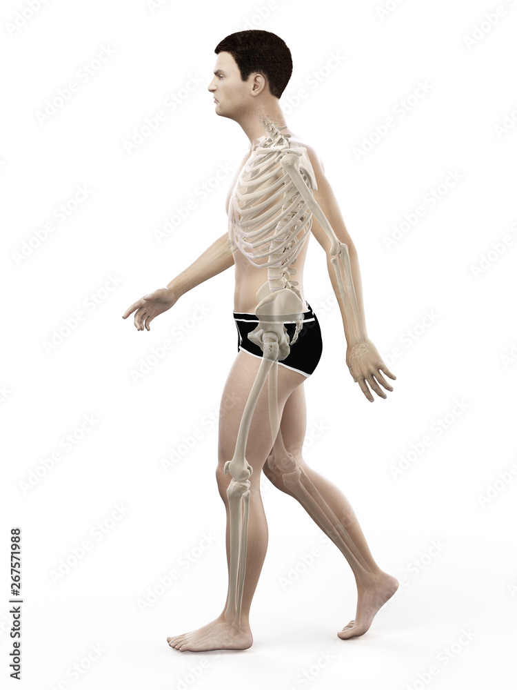3d rendered medically accurate illustration of a painful back 3d rendered medically accurate illustration of a painful back